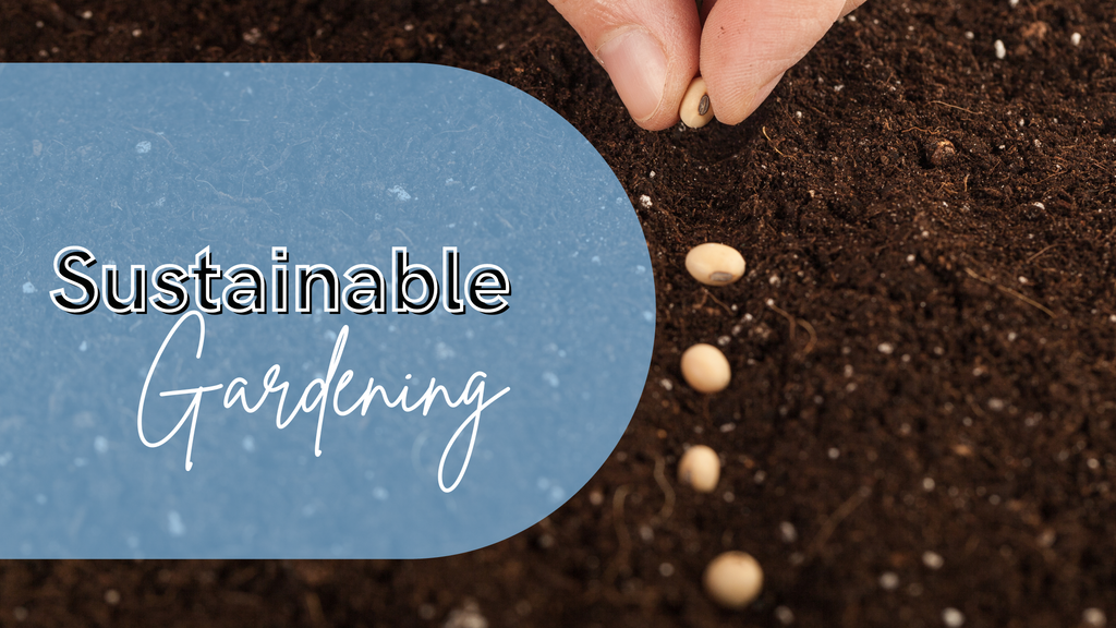 Sustainable Gardening: Tips for Eco-Friendly Planting.