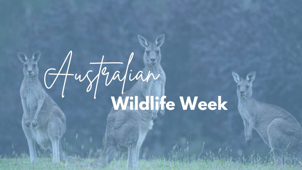 Australian Wildlife Week