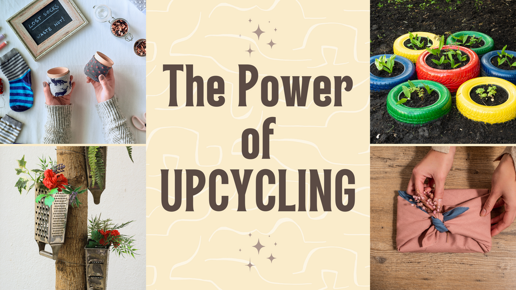 The Power of Upcycling: Turning Trash into Treasure