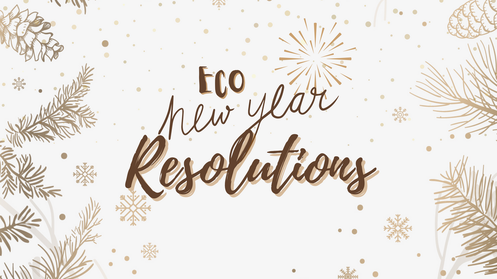 Eco New Year Resolutions