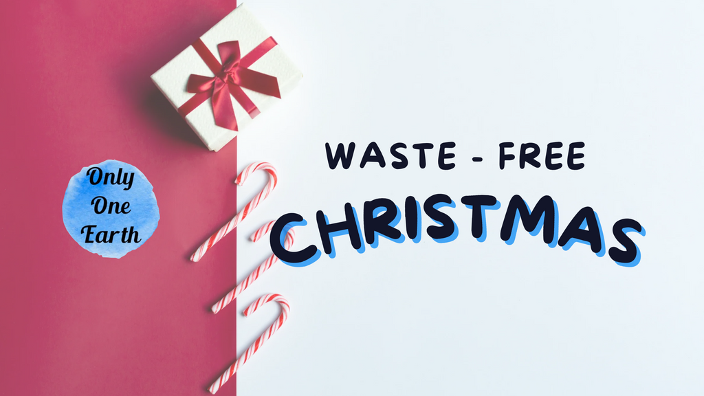 Waste - Free Christmas